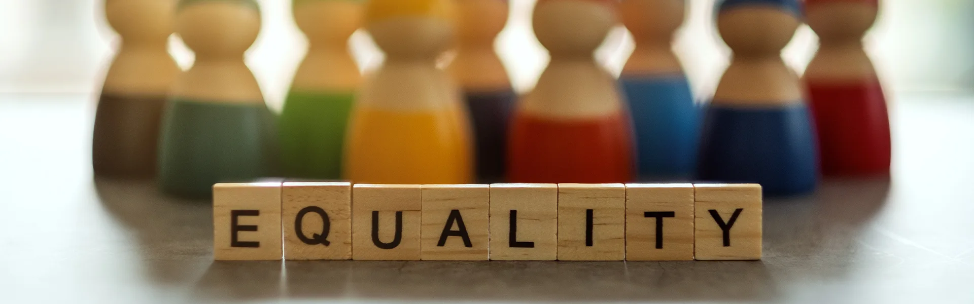 STANDOUTEDU Establishes Permanent Equality Committee